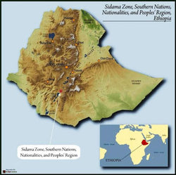 Ethiopia, Organic, Fair Trade Sidamo Natural/ medium Roast