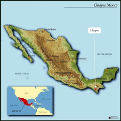 Mexico, Fair Trade, Organic, Chiapas/ medium roast