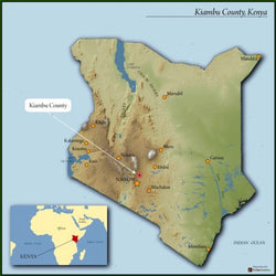 Kenyan, Muiri Estate/ Medium Roast