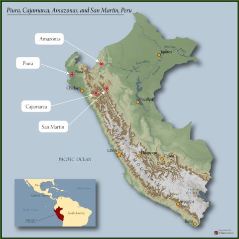 Peru Organic, Fair Trade, APROCASSI/ Dark Roast